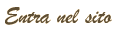 Entra nel sito